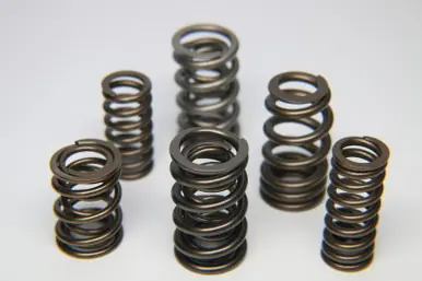 Ferrea 1.600in to 1.650in Dia 1.065/1.625 OD 0.770/1.189 ID Dual w/Damper Valve Spring - Single - S10004-1 Instant Buy