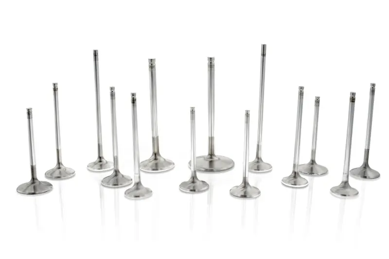 Exclusive Ferrea Chevy/Chrysler/Ford 2.19in 3/8in 5.3in 0.225in 12 Deg S-Flo +.050 Hollow Int Valve - Set of 8